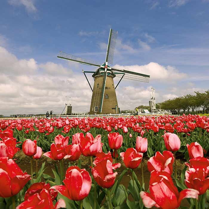 Holanda